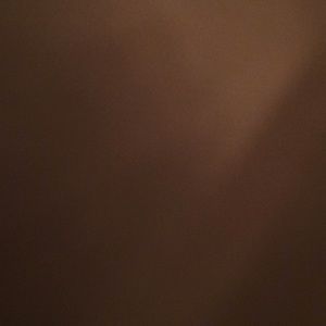 Meet your Posher, Tamia